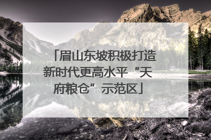 眉山东坡积极打造新时代更高水平“天府粮仓”示范区