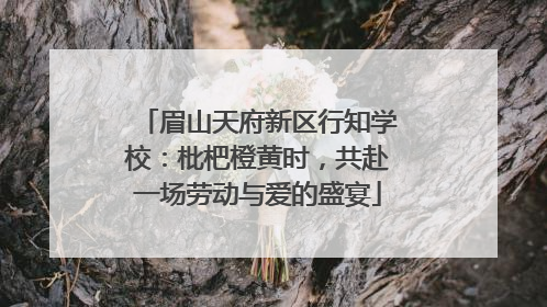眉山天府新区行知学校：枇杷橙黄时，共赴一场劳动与爱的盛宴