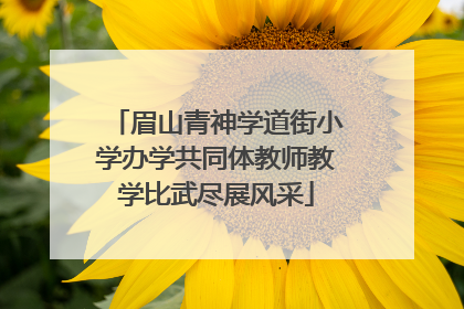 眉山青神学道街小学办学共同体教师教学比武尽展风采