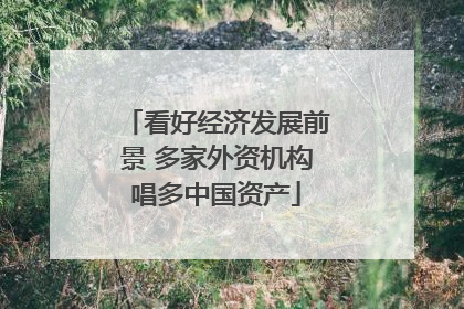 看好经济发展前景 多家外资机构唱多中国资产