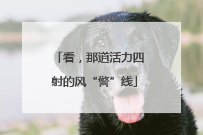 看，那道活力四射的风“警”线