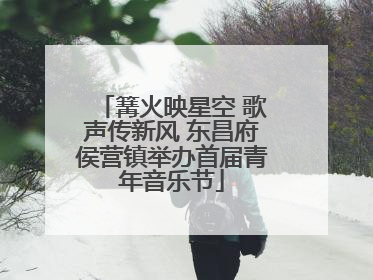 篝火映星空 歌声传新风 东昌府侯营镇举办首届青年音乐节