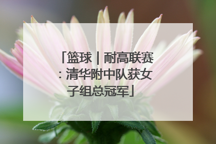 篮球｜耐高联赛：清华附中队获女子组总冠军