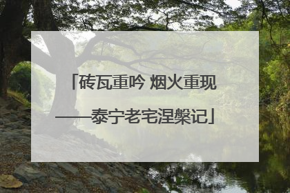 砖瓦重吟 烟火重现——泰宁老宅涅槃记