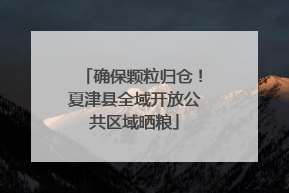确保颗粒归仓！夏津县全域开放公共区域晒粮