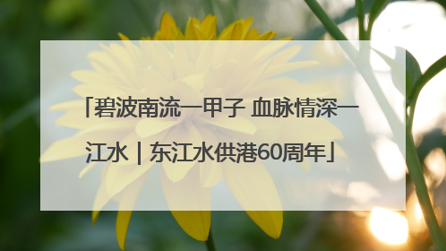 碧波南流一甲子 血脉情深一江水｜东江水供港60周年
