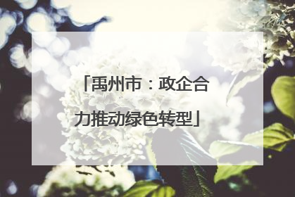 禹州市：政企合力推动绿色转型