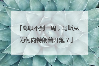 离职不到一周，马斯克为何向特朗普开炮？