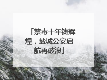 禁毒十年铸辉煌，盐城公安启航再破浪