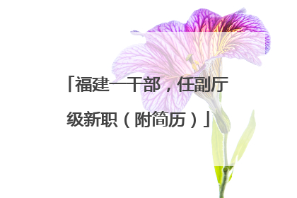 福建一干部，任副厅级新职（附简历）