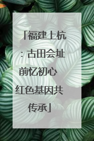 福建上杭：古田会址前忆初心 红色基因共传承