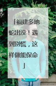 福建多地蛇出没！遇到别慌，这样做能保命