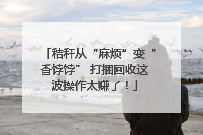 秸秆从“麻烦”变“香饽饽” 打捆回收这波操作太赚了！