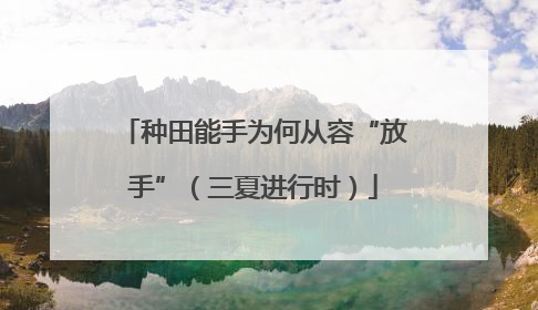 种田能手为何从容“放手”（三夏进行时）