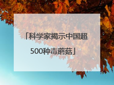 科学家揭示中国超500种毒蘑菇