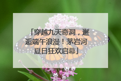 穿越九天奇洞，邂逅端午浪漫！茅岩河夏日狂欢启幕