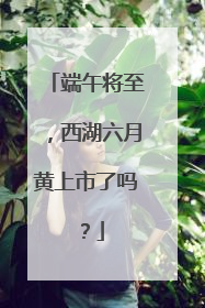 端午将至，西湖六月黄上市了吗？