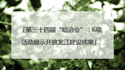 第三十四届“哈洽会”：6项活动展示开放龙江建设成果
