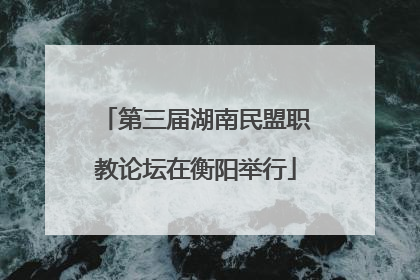 第三届湖南民盟职教论坛在衡阳举行