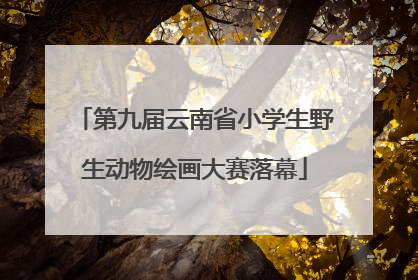 第九届云南省小学生野生动物绘画大赛落幕
