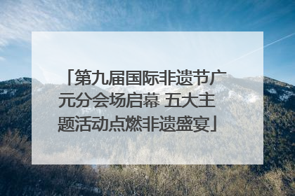 第九届国际非遗节广元分会场启幕 五大主题活动点燃非遗盛宴