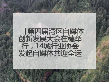 第四届湾区自媒体创新发展大会在穗举行，14城行业协会发起自媒体共迎全运会协同计划