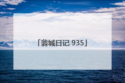 翁城日记 935