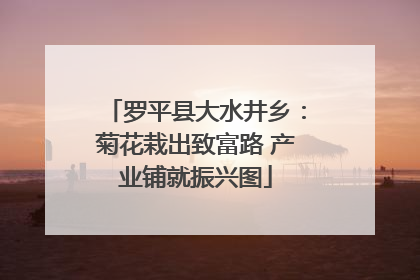 罗平县大水井乡：菊花栽出致富路 产业铺就振兴图