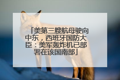 美第三艘航母驶向中东，西班牙国防大臣：美军轰炸机已部署在该国南部