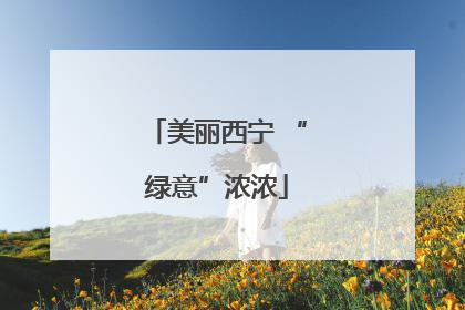 美丽西宁 “绿意”浓浓