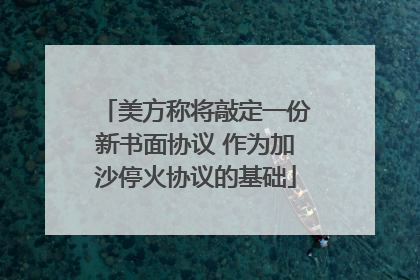 美方称将敲定一份新书面协议 作为加沙停火协议的基础