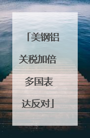 美钢铝关税加倍 多国表达反对