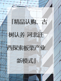 精品认购、古树认养 河北迁西探索板栗产业新模式