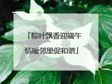 粽叶飘香迎端午 情暖邻里促和谐