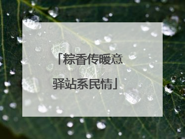 粽香传暖意 驿站系民情
