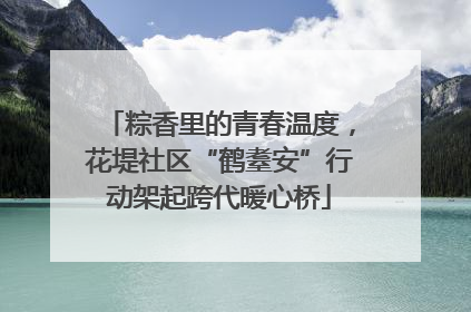 粽香里的青春温度，花堤社区“鹤耋安”行动架起跨代暖心桥