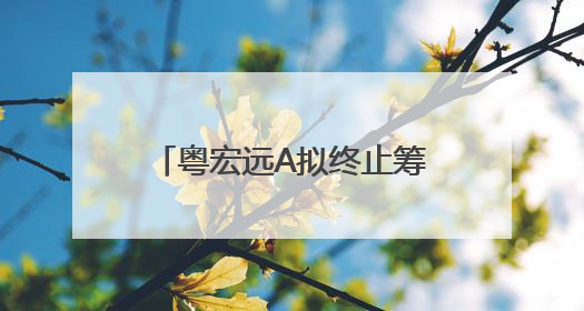 粤宏远A拟终止筹划重大资产重组