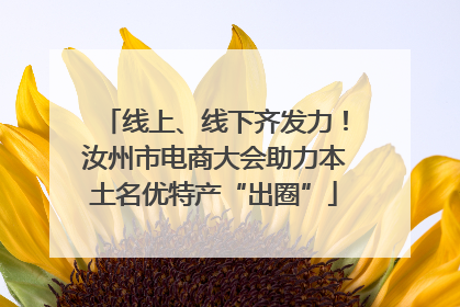 线上、线下齐发力！汝州市电商大会助力本土名优特产“出圈”