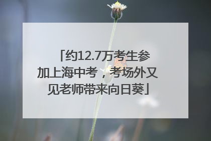 约12.7万考生参加上海中考，考场外又见老师带来向日葵