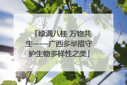 绿满八桂 万物共生——广西多举措守护生物多样性之美