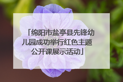 绵阳市盐亭县先锋幼儿园成功举行红色主题公开课展示活动