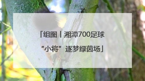 组图丨湘潭700足球“小将”逐梦绿茵场