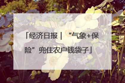 经济日报｜“气象+保险”兜住农户钱袋子