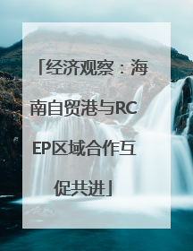 经济观察：海南自贸港与RCEP区域合作互促共进