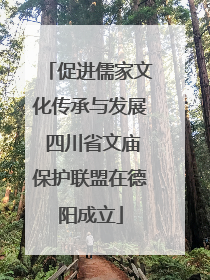 促进儒家文化传承与发展 四川省文庙保护联盟在德阳成立
