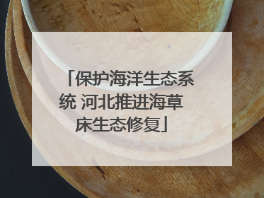 保护海洋生态系统 河北推进海草床生态修复