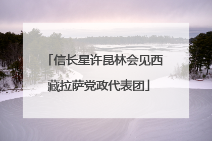信长星许昆林会见西藏拉萨党政代表团