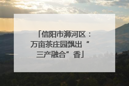 信阳市浉河区：万亩茶庄园飘出“三产融合”香
