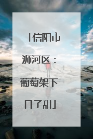 信阳市浉河区：葡萄架下日子甜