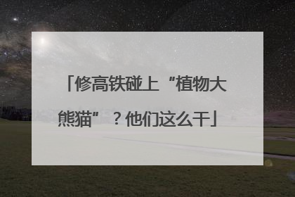 修高铁碰上“植物大熊猫”？他们这么干